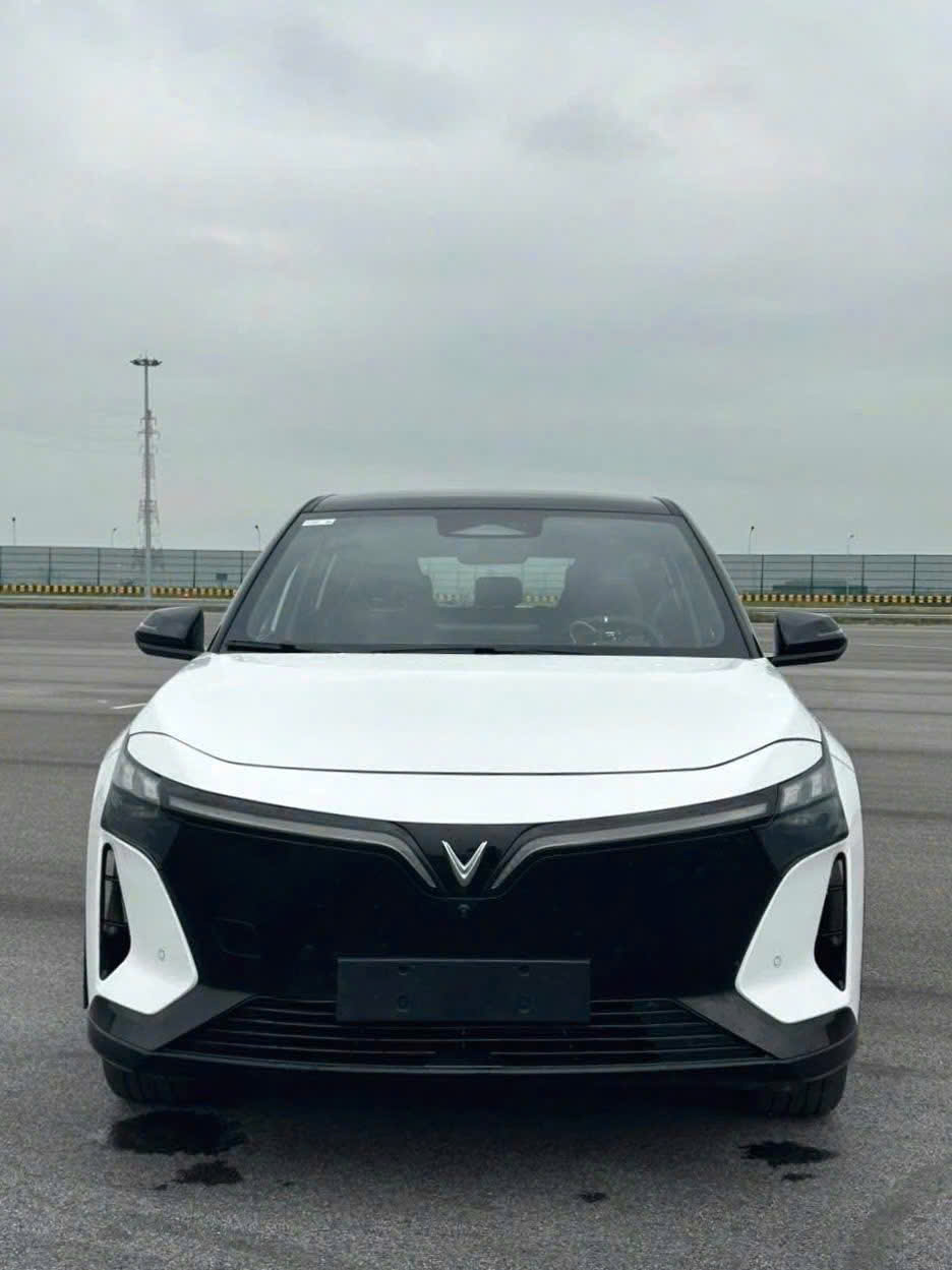 Xe VF8 all new